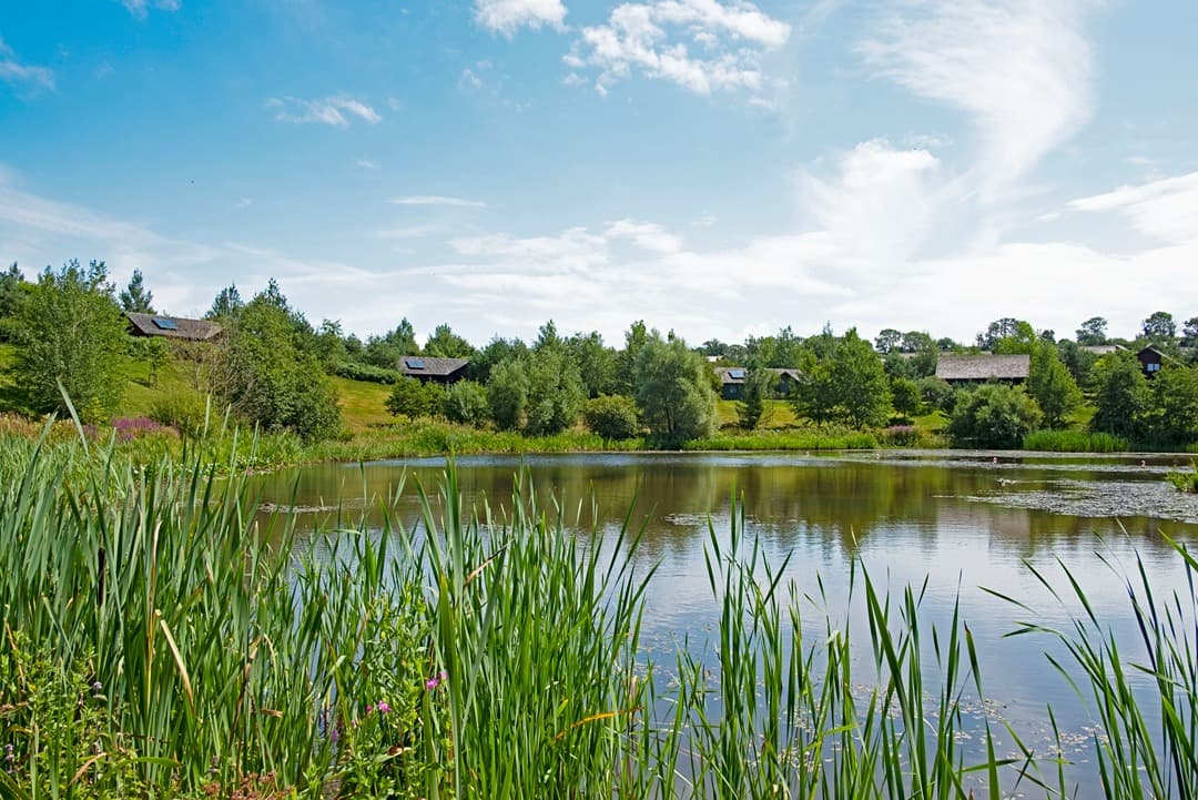 one Lake in sunshine