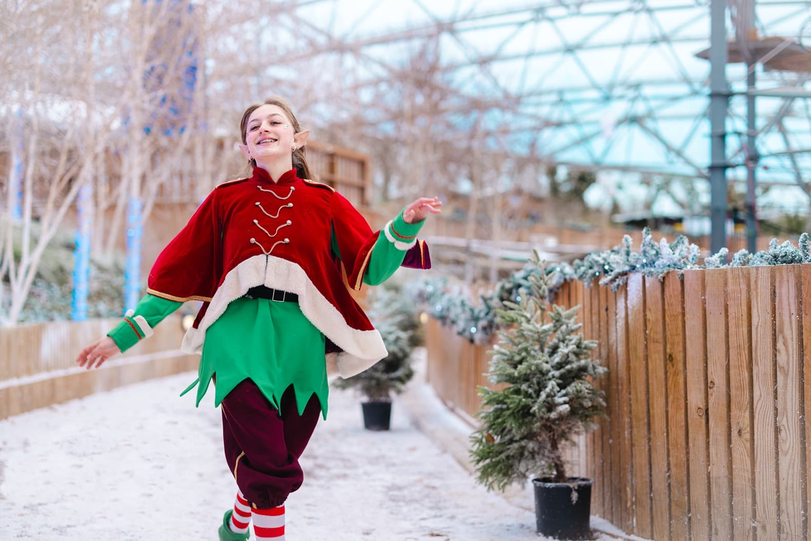 Elf in the Serendome