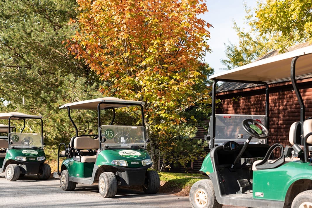 Buggies With Autumn Leaves