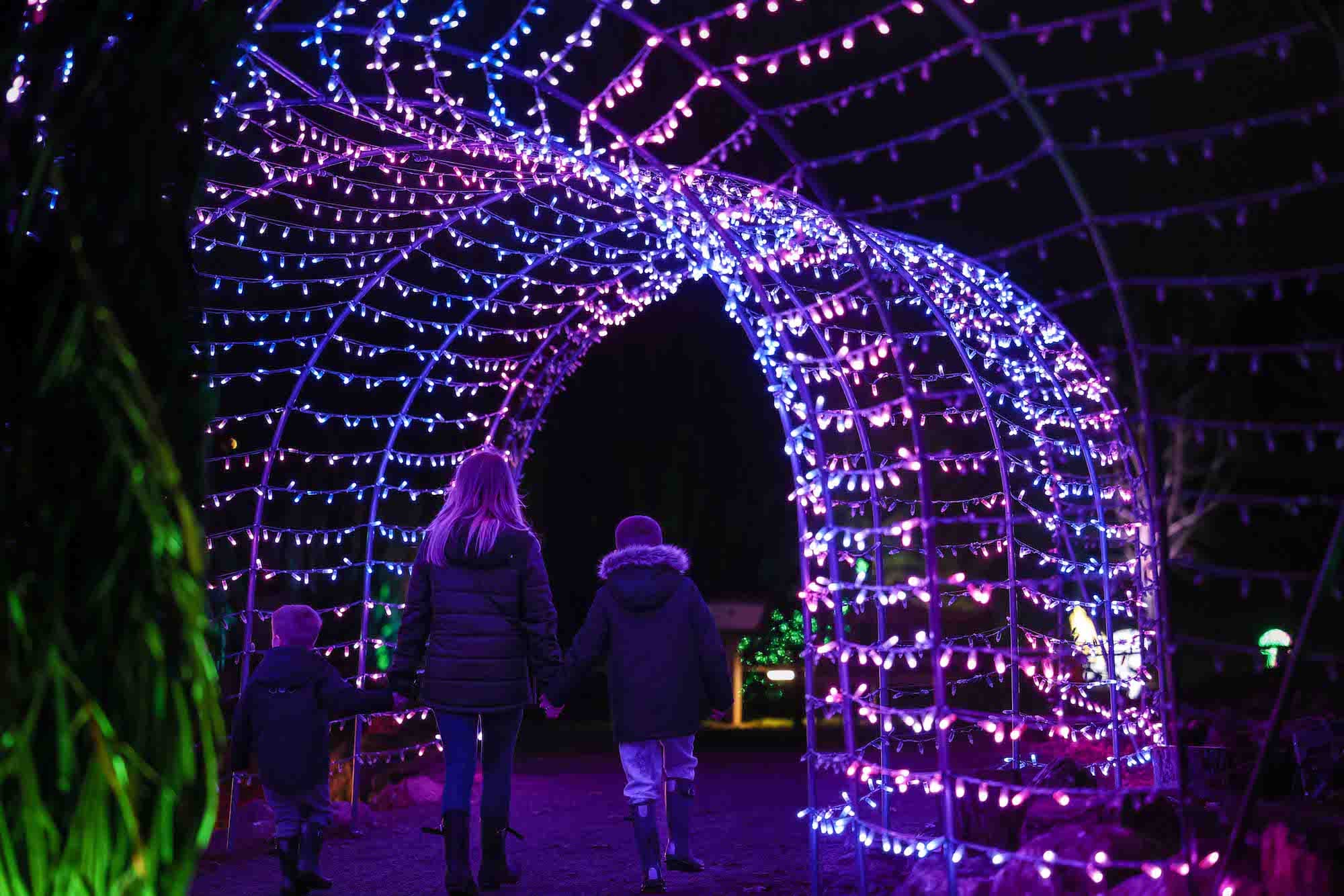 Winter Lights Family Under Light Arch