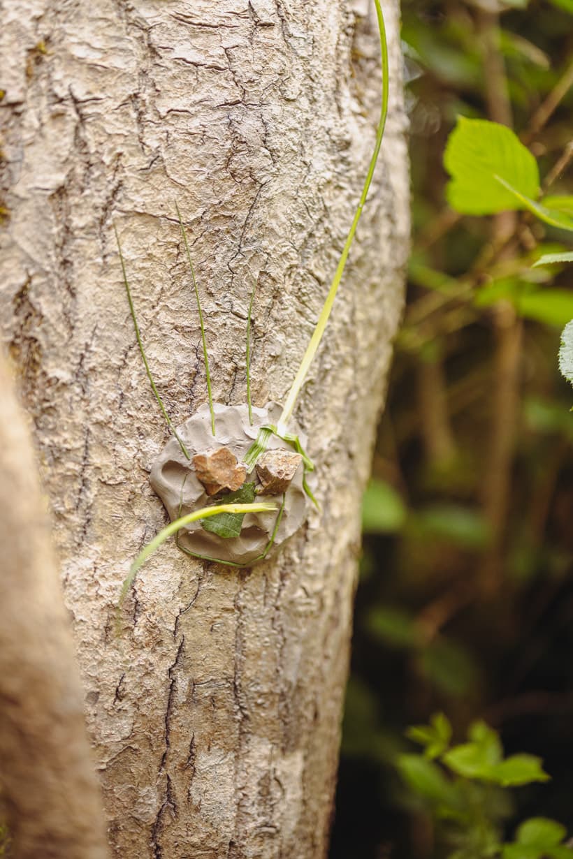 Nature Art On Tree