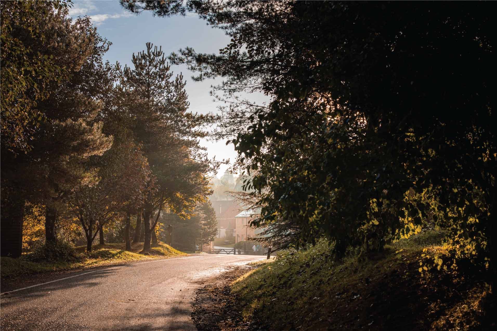 Autumn Road To The Village
