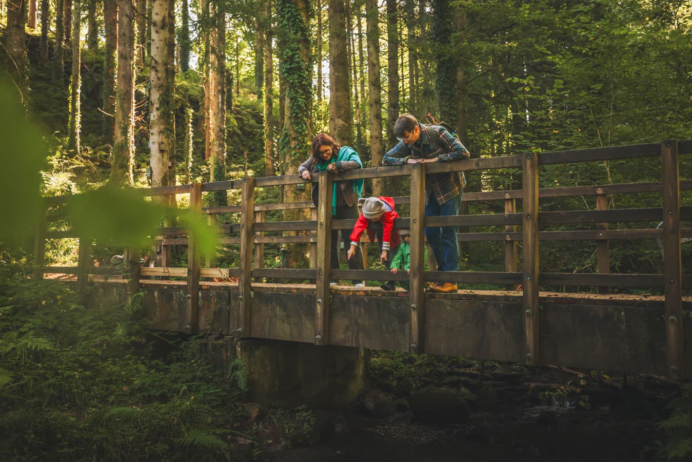 Family Nature Trail Autumn Bluestone