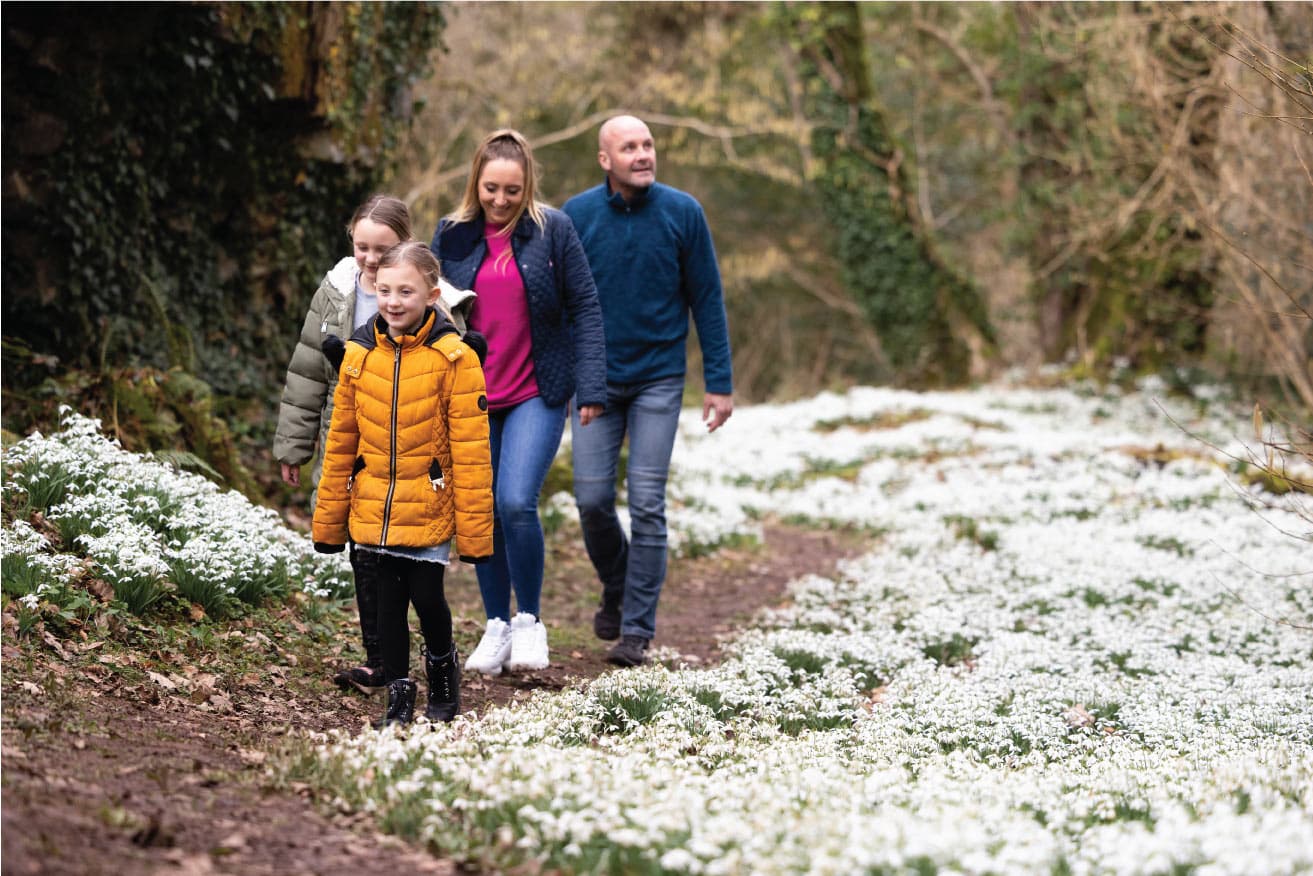 Family Walk through snowdrops