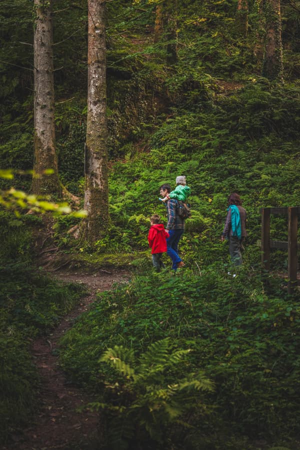 Family Nature Trail Autumn Bluestone